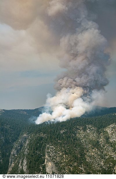 Smoke cloud of a forest fire  Yosemite National Park  California  USA  North America