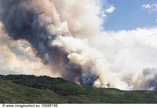 Smoke emitting from wildfire in forest