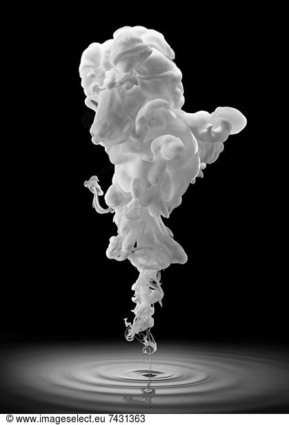 Smoke forming poodle face
