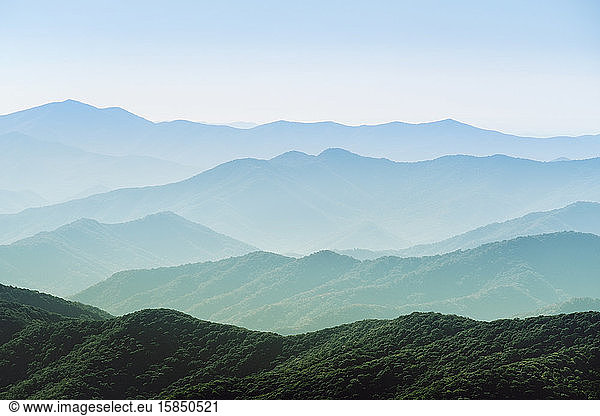 Smoky Mountains National Park  Clingmans Dome  border of North Carolina and Tennessee  United States