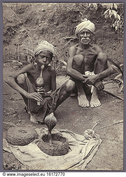 Snake charming / Ceylon / Photo / c. 1905