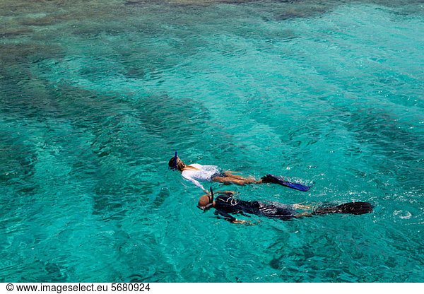 Snorkelers in the Caribbean Sea