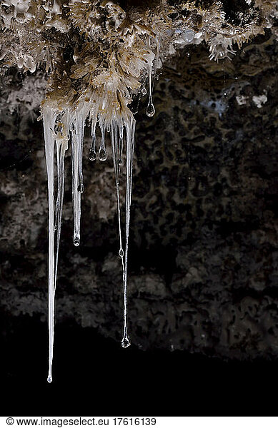 Snottites are a biofilm of single-celled extremophilic bacteria which hang down from the walls and ceilings of Cueva de Villa Luz.; Tabasco State  Mexico.
