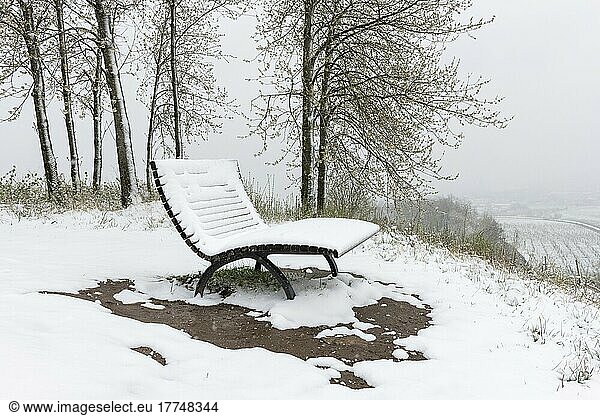 Snow-covered bench  bench  winter  snowfall  cherry trees  Baden-Württemberg