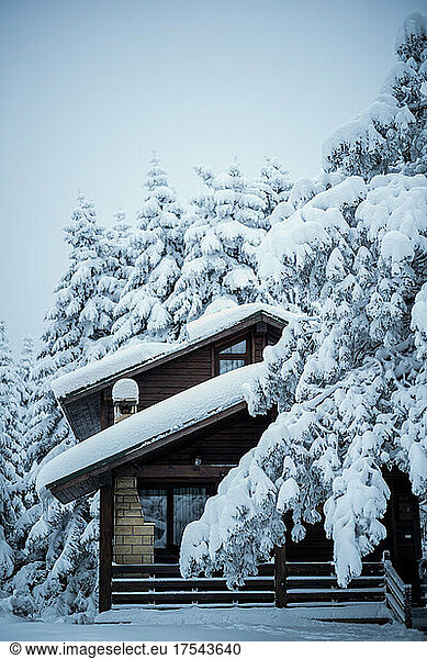 Snow covered cottage house and trees