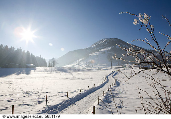 Snow covered landscape  Kirchberg  Tirol  Austria