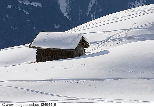 Snow-covered mountain hut storing hay on a snow-covered slope with skiing tracks  Graubuenden  Switzerland  Europe