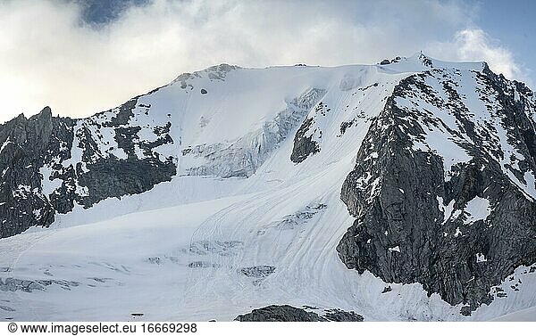 Snow-covered mountain peak  Waxeggkees glacier  high alpine landscape  Zillertal Alps  Zillertal  Tyrol  Austria  Europe