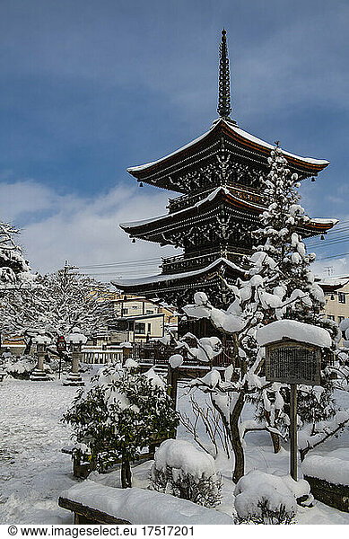 snow-covered pagoda in the town of Takayama