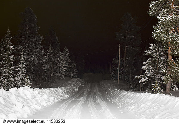 Snow covered road amidst trees at night