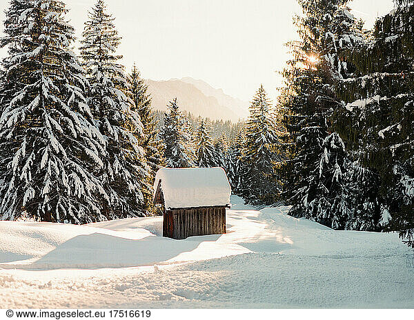 Snow covered rustic cabin in the woods of a winter wonderland