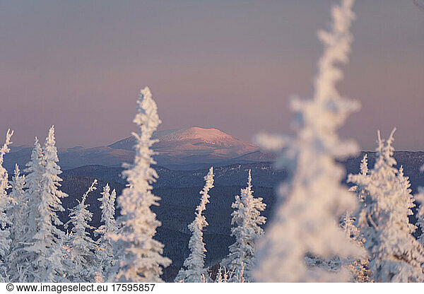 Snow covered trees with mountains and sky in background at sunrise  Sheregesh  Russia