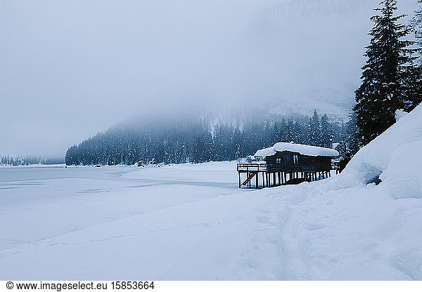 Snow forest and lake on a cold winter day