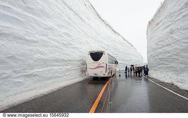 Snow Wall Walk  high snow wall on a road with bus  Tateyama Kurobe Alpine Route  Tateyama  Japan  Asia