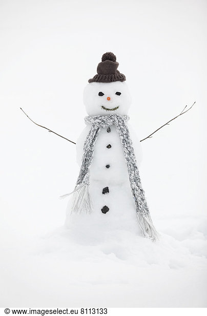 Snowman wearing knit hat and scarf
