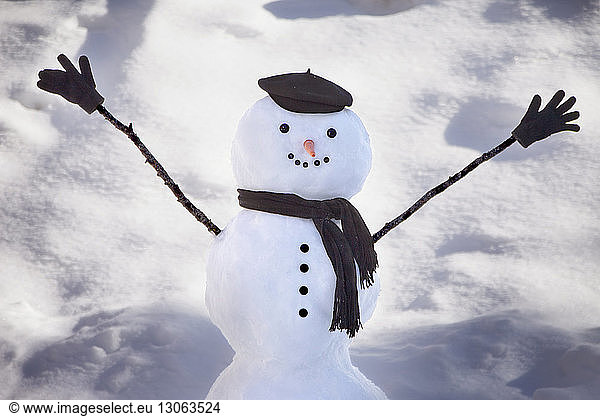 Snowman with scarf and cap