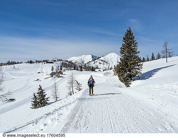 Snowshoe hiker in winter landscape  Tauplitzalm  Styria  Austria  Europe