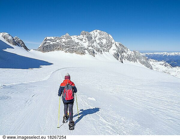Snowshoe hiker on the Hallstätter Glacier  Hallstätter Glacier  Dachstein Massif  Styria  Austria  Europe