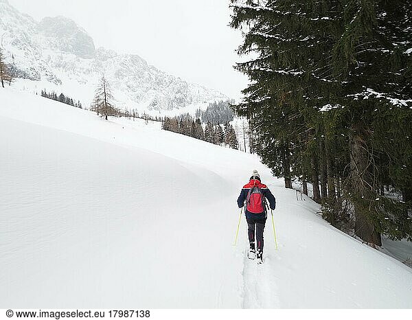 Snowshoe hiker  winter landscape in front of snow-covered Bosruck massif  Ardningalm  Ennstal  Styria  Austria  Europe