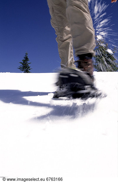 Snowshoer in Motion on Mt. Elphinstone, Roberts Creek along the Sunshine Coast, British Columbia