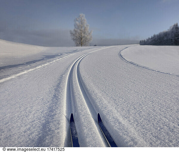 Snowy  hilly cross-country ski track with skis in Estonia  s-shaped trail in winter.