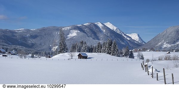 Snowy landscape  cross-country track Ödensee  Bad Mitterndorf  Styria  Austria  Europe