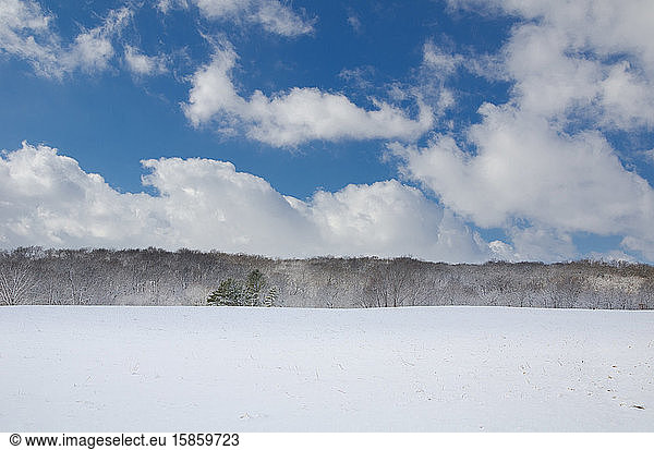 Snowy winter prairie with partly cloudy sunshine