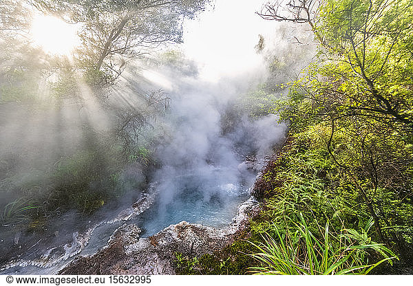 Sodafontäne  Geothermischer Park Orakei Korako  Vulkanische Zone Taupo  Nordinsel  Neuseeland
