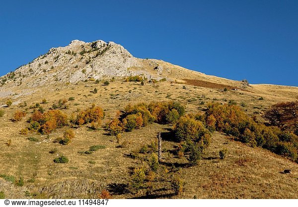 Solana de Buxo Valley of Hecho western valleys Pyrenean mountain range province of Huesca Aragon Spain