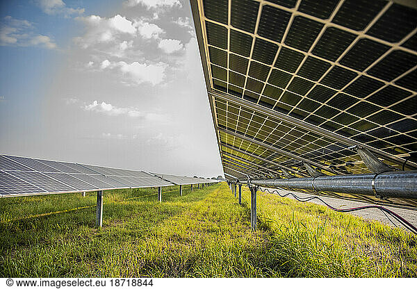 Solar farm in east Texas