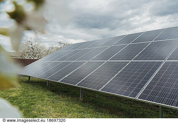 Solar panels on grass under sky