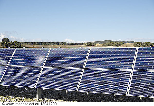 Solar panels on landscape against blue sky during sunny day