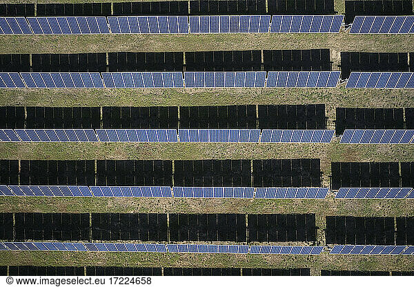 Solarfeld von oben  Virginia  USA