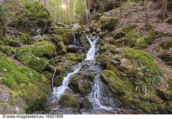 Sollerbach river flowing through Bavarian Forest