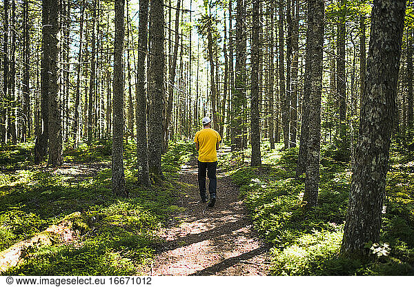 Solo man on a nature walk trail in coastal Maine