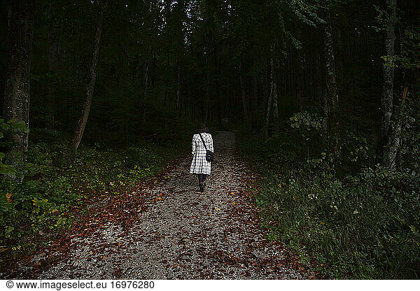 Someone walking along a path into the dark forest
