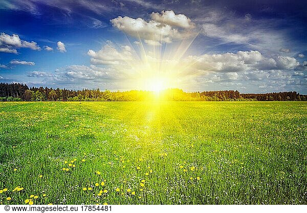 Sommerwiese bei Sonnenuntergang mit blauem Himmel und Sonnenstrahlen. Mit Lens Flare und Lichtleck