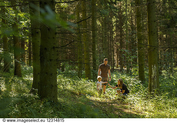 Son (2-3) with parents in forest