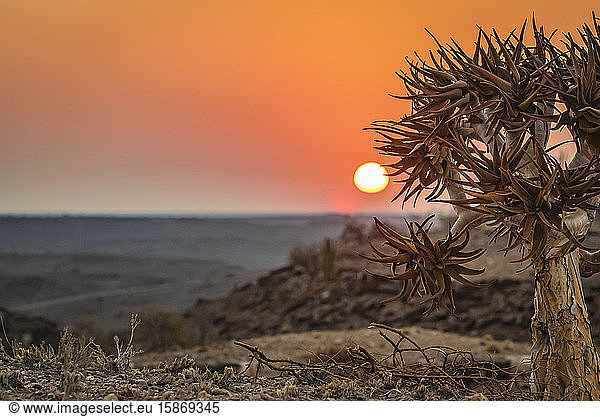 Sonnenaufgang im Hardap Resort; Hardap Region  Namibia