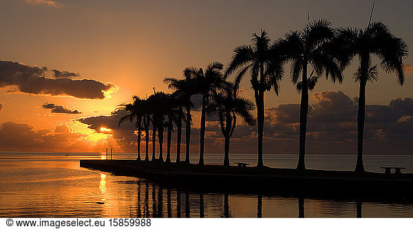 Sonnenaufgang in Cutler Bay / Sonnenaufgang von Cutler Bay bei Miami  Florida