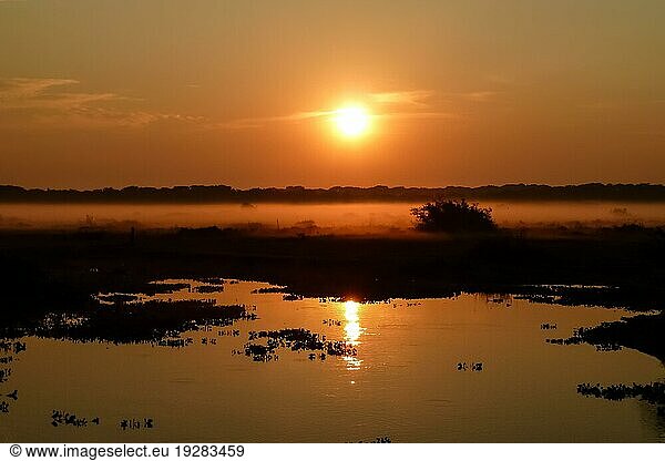 Sonnenaufgang Pantanal Feuchtgebiete  Brasilien  Südamerika