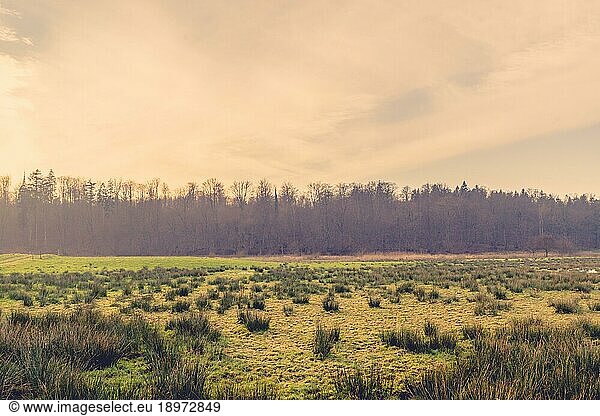 Sonnenaufgang Szenerie mit einem grünen Feld mit Gras