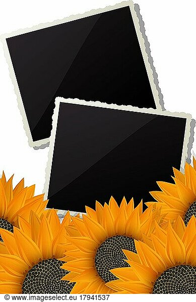 Sonnenblumen und Fotorahmen dekorativen Hintergrund über weißem Hintergrund