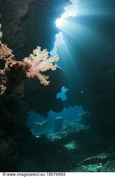 Sonnenstrahlen in Unterwasserhöhle  Namena Marine Park  Fiji  Fiji-Inseln  Fidschi  Ozeanien