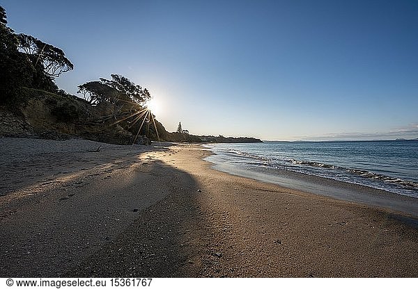 Sonnenstrahlen scheinen durch die Bäume am Sandstrand  Abendlicht  Langs Beach  nahe Mangawhai Head  Northland  Neuseeland  Ozeanien