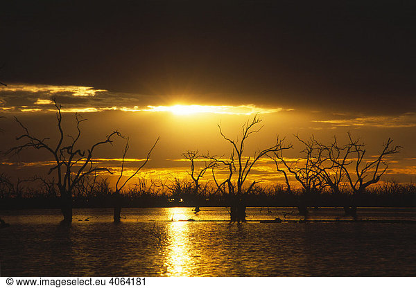 Sonnenuntergang am Lake Pamamaroo  New South Wales  Australien