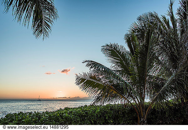 Sonnenuntergang bei Hale  Oahu  Hawaii