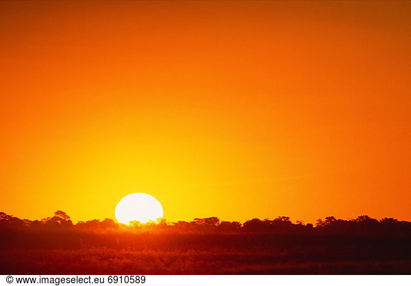 Sonnenuntergang  Botswana