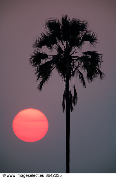Sonnenuntergang  Botswana