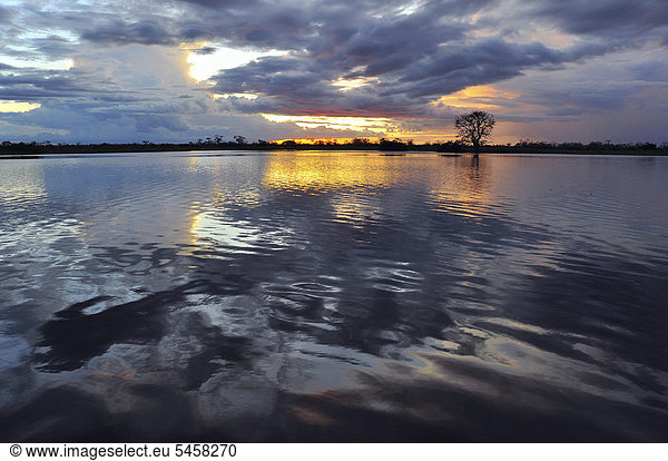 Sonnenuntergang in Amazonien  Mamiraua Schutzgebiet bei Tefe  Amazonas  Brasilien  Südamerika